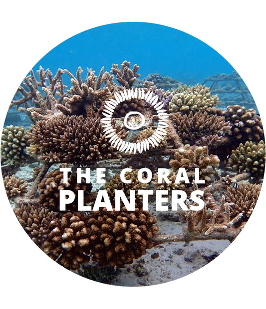 1 euro pour la préservation des coraux